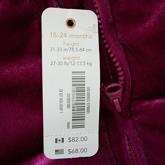 NWT Gymboree Velvet/Hooded Puffer (18-24M) - Picture 4 of 7